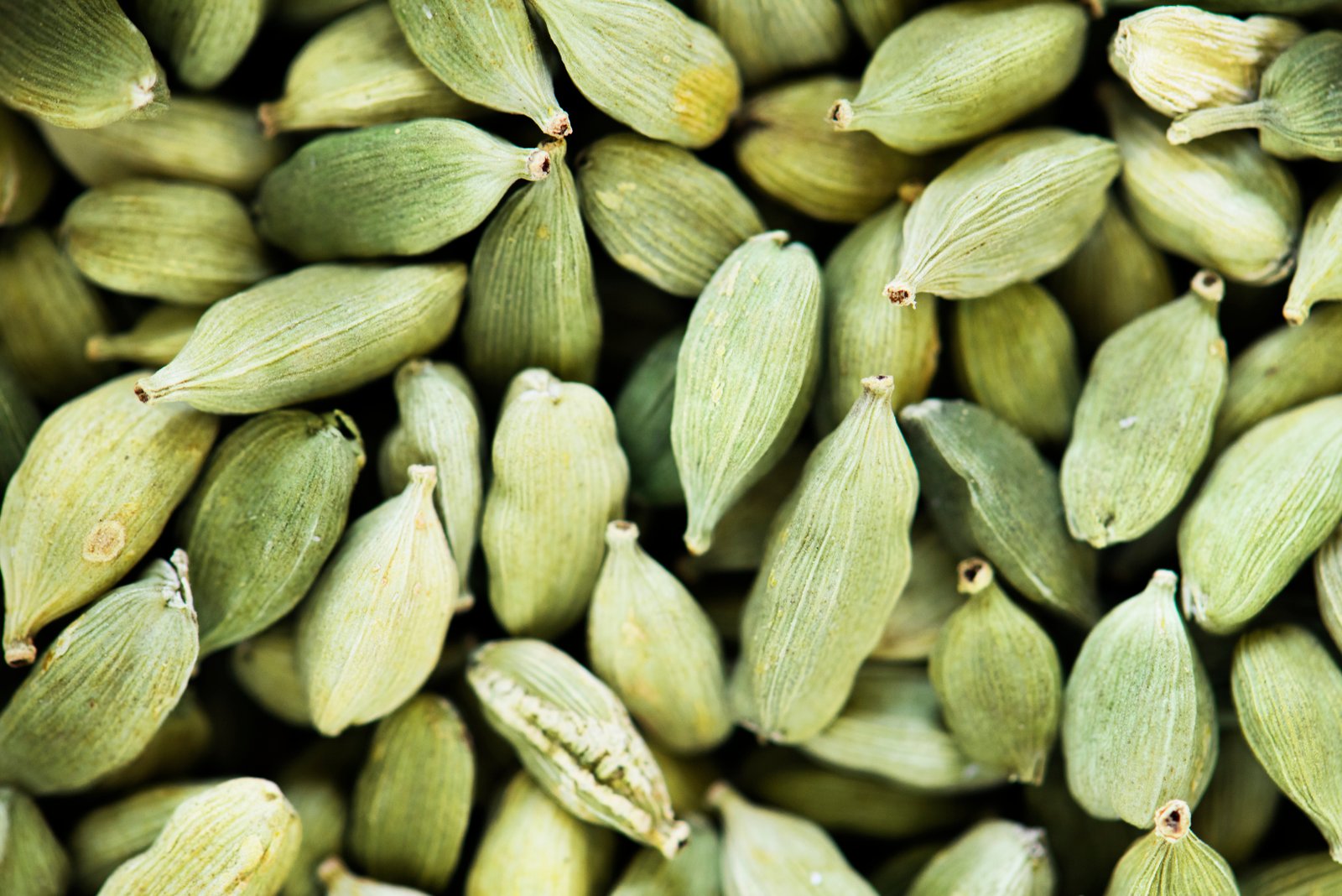 Indian green cardamom